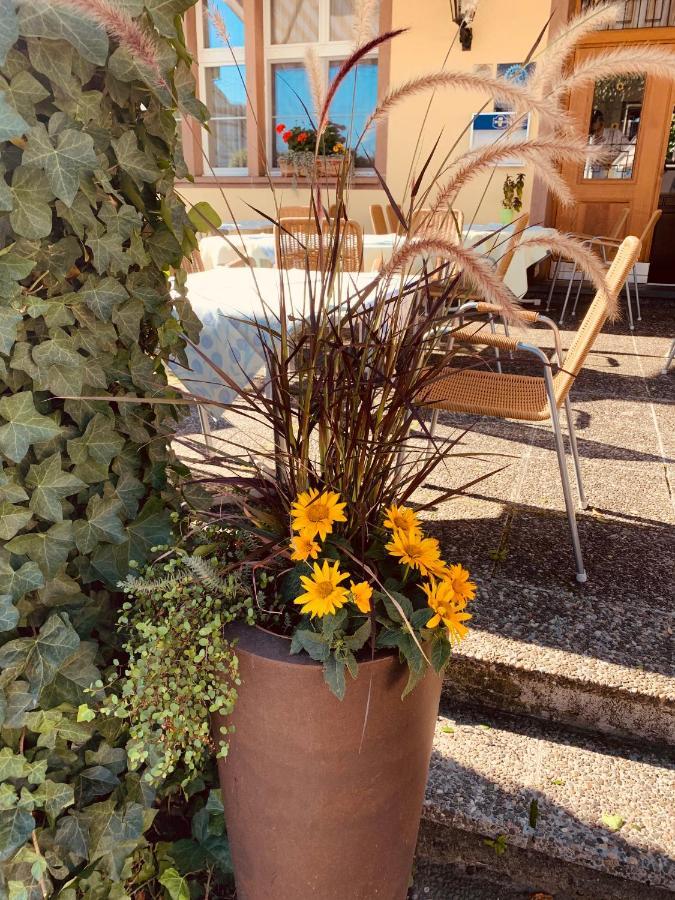 Hotel Roessli Allschwil Exterior foto